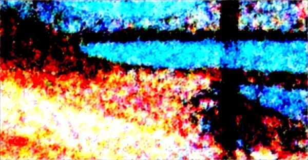 Location vélo cap ferret : guide des meilleurs loueurs